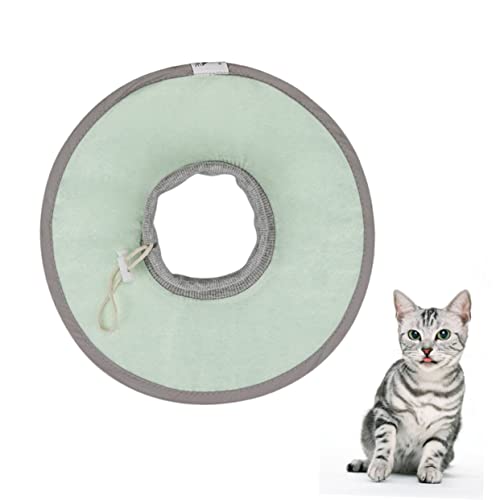 Collier de récupération chat et cône chiot anti-léchage x2