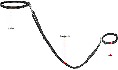 Assorbimento degli urti Guinzaglio per cani