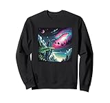 Cosmic Astronomer Collection