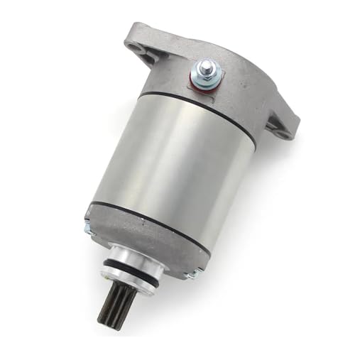 Démarreur pour LTF250 et LTF300F pour partir en randonnée quad