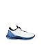 ECCO Men's Biom C5 BOA Gore-Tex Waterproof Golf Shoe, White/Federal Blue, 12-12.5
