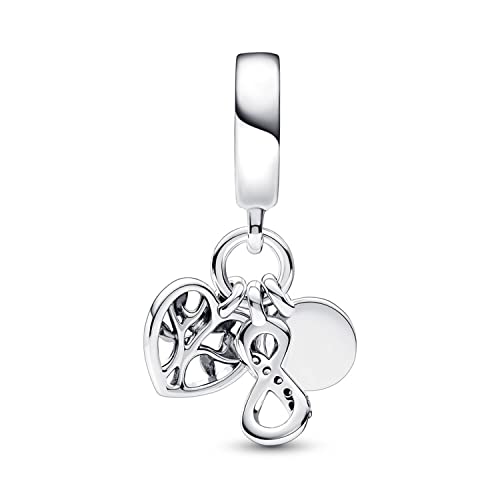Image of INZEN Heart-shaped Friendship Charm Pendant Suitable For Most Charm Bracelets And Necklaces DIY Puppy Tigger Beads Jewelry Gifts For Women And Girls (Family Infinity Charm)