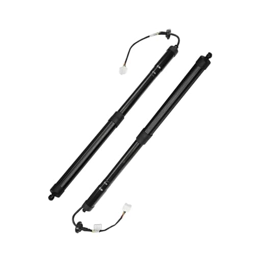 Vérins à gaz pour hayon électrique Nissan Rogue 2014-2019 x2