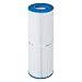 Unicel C-4950 Replacement Filter Cartridge for 50 Square Foot Rainbow, Waterway Plastics, Custom Molded Products