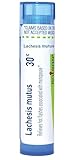 Boiron Lachesis Mutus 30C, 80 Pellets, Homeopathic Medicine for Hot Flashes