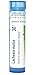 Boiron Lachesis Mutus 30C, 80 Pellets, Homeopathic Medicine for Hot Flashes