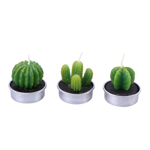 HOMOCONO Creative Plant Candles Handmade Tealight Candles for Home Decoration Birthday Parties and Spa Realistic Cactus Prickly Random Style