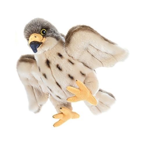 Plush & Company Peluche Windy Hawk Falco Pellegrino Peluches Giocattolo, Regalo Originale per Bambini, Compleanno Ragazza Ragazzo, Lunghezza 27 cm