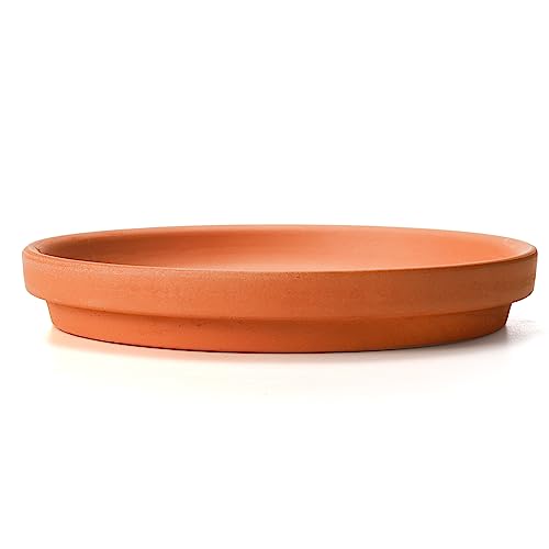 Suwimut Terracotta Pot Plant Saucer, 15cm/6inch Round with Drainage Hole, Clay Drip Trays for Indoor/Outdoor Plants - Image 4