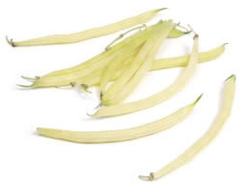25 Goldrush Green Bean Bright Yellow Wax Bean Phaseolus Vulgaris Vegetable Seeds #TOP18