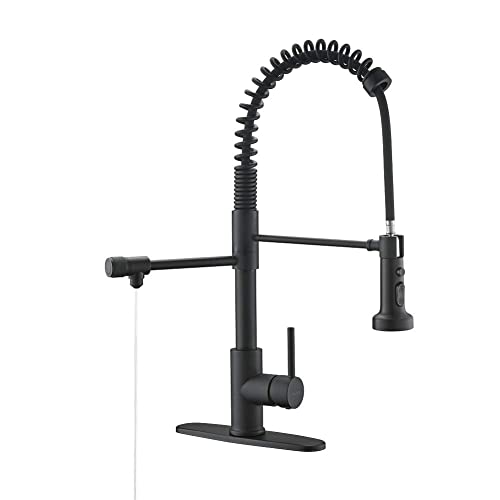 Drinking Water Faucet, Pull-Down Kitchen Sink Water Filtration Faucet, Bar Water Filter Faucet, Matte Black, Stainless Steel, PAKING PB1030