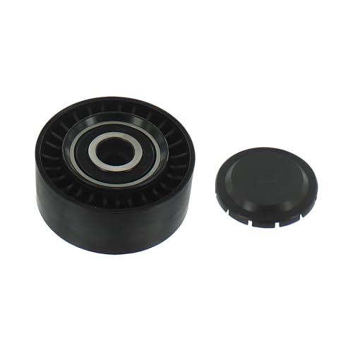 SKF VKM 31301 Kit de Galet Tendeur Multi-V
