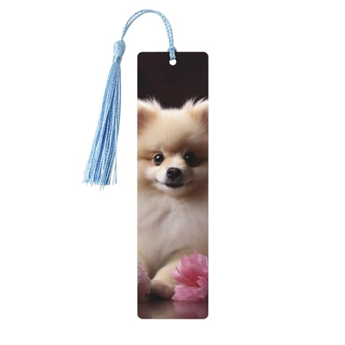 ؐ Y fB[X nhCh  [t Be[W ؐ ubN}[N |jAƉ ݂ؐ艺^O Ǐy[W}[J[ {D