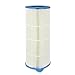 Pureline 147 Sq Ft Pool Replacement Cartridge Filter, Compatible with Jacuzzi Triclops, TC450 (Old Style Triangular), 42-3640-15-R