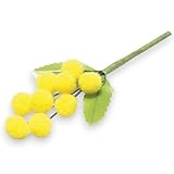 Generic B0CWH6JS7V lato 3