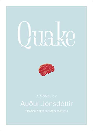 Quake: A Novel view 2