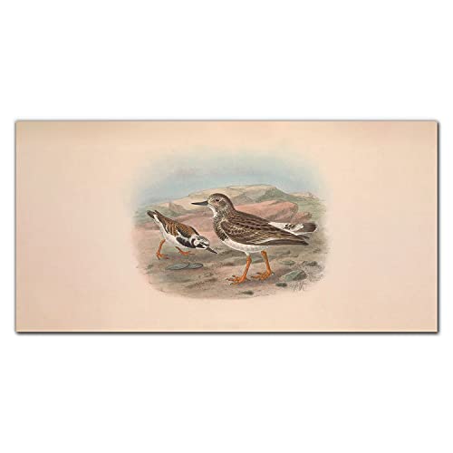 Photo sur verre acrylique oiseaux 100x50cm pour décoration intérieure