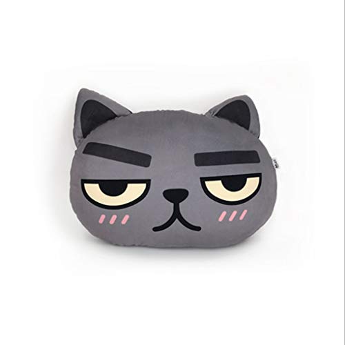 N/A Accueil Canapé Oreiller, Cartoon Animaux Chambre de Chevet Oreiller, Bureau Lombaire Coussin, Coussin de siège de Voiture (Color : B, Size : 38×48cm)