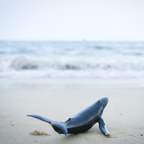 Gemini & Genius Humpback Whale Action Figure, Sea Animal Orca Blackfish Toys, Soft Rubber Ocean Shark, Great For Kids Bath Toys Swimming Toys, Beach Toys, Perfect Cake Coppers #TOP6