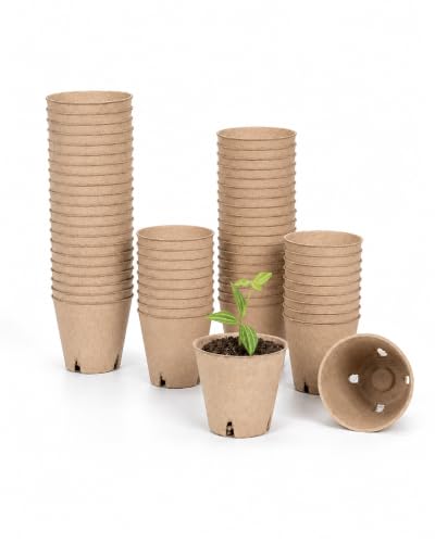 Bamworld 60 pots pépinière drainage