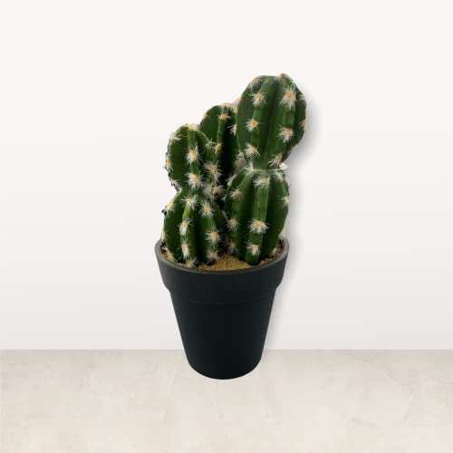 Cactus Artificiel 17cm Cover