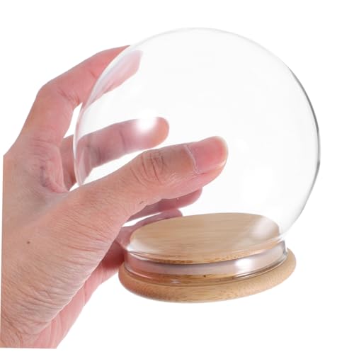 Cúpula de cristal de 13 cm con base de bambú natural para flores 5