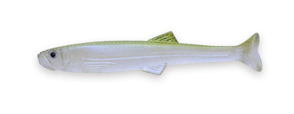 Amazon | イマカツ(Imakatsu) ハドルスイマーエラストマー 4