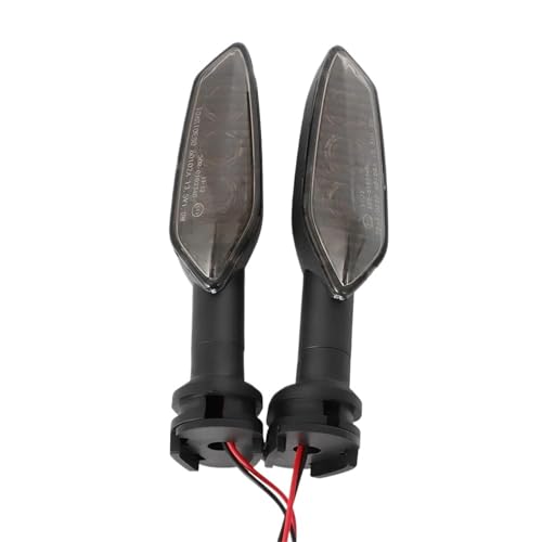 Feux de signalisation moto smoke design épuré MT10 R25 2pcs