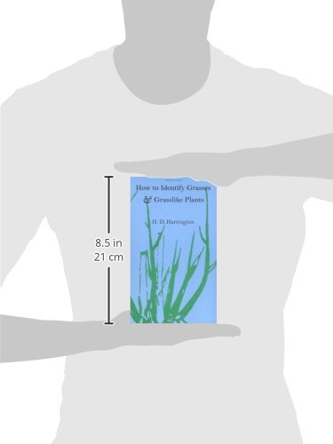 How To Identify Grasses And Grasslike Plants: Sedges And Rushes #TOP2