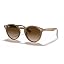 616613 BROWN GRADIENT DARK BROWN