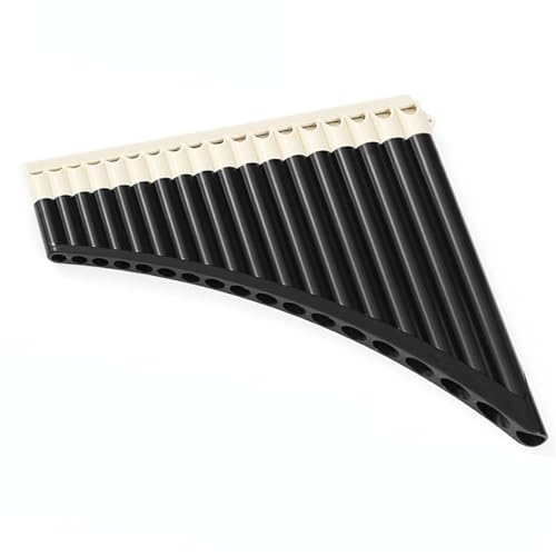 �p���t���[�g National Musical Instruments ���S�Ҍ��� 16/18 �`���[�u C �`���[�j���O �p�� �t���[�g �w�т₷�� �v���̉��t(18B)