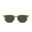 Honey/Green Polarized Lens (Size 50 Mm) - Polarized Lenses