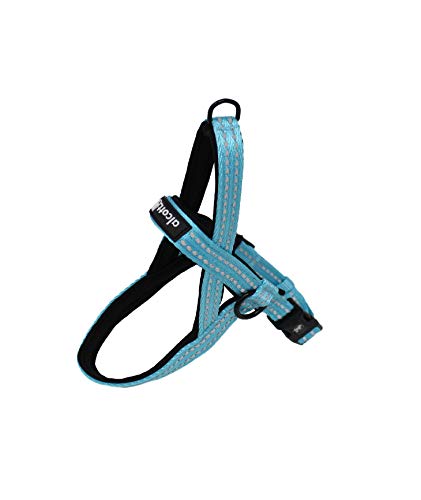 Alcott Norwegian Harness, Blue, Small, (NOR HNS SM BL)