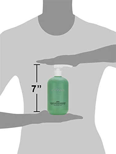 RAYA Camphor Astringent 16 oz (204) | Effective Facial Toner for Oily and Break-Out Skin | Helps Dry Up Blemishes and Control Excessive Oiliness | Made with Camphor and Eucalyptus - Thumbnail 7