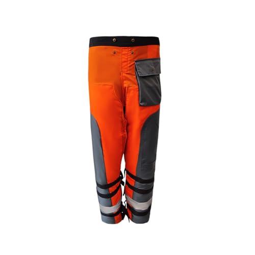 `F[\[Gv h앞 ы  `F[\[  Xэƈ ی `F[\[pc߉\ȃxg`F[\[`bvXیpcbvϋv`F[\[یGv (IWO[, M)