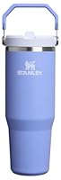 STANLEY IceFlow 2.0 Flip Straw Tumbler with Handle 30 oz | Twist On Lid and Flip Up Straw | Leak Resistant Water Bottle | Insulated Stainless Steel | BPA-Free | Hydrangea