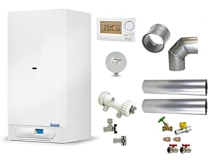 Thermona Therm 20 CXE.AA Gastherme Komplettpaket