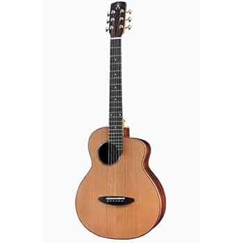 アヌエヌエ anuenue m10 bird アコースティックギター 31CzLy0Av8L._UF350,350_QL50_.jpg