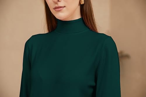 Image of DAIMIDY Turtleneck Sweaters for Women Long Sleeve Pullover Tops | Knitted Material| Soft, Warm and Breathable| High Resilience and Tensile Strength Design| Business Casual Tops| Dailywear