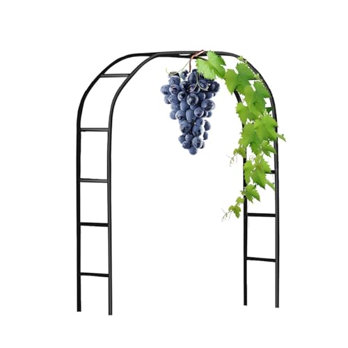 Arco de jardín de Hierro Enrejado para Bodas, pérgola Decorativa de Metal para Verduras, Uvas, Plantas trepadoras y pepinos, para Exteriores, 2 m, 40 m, 8 m, 2 m, 2,40 m y 2,80 m (Negro, ANC