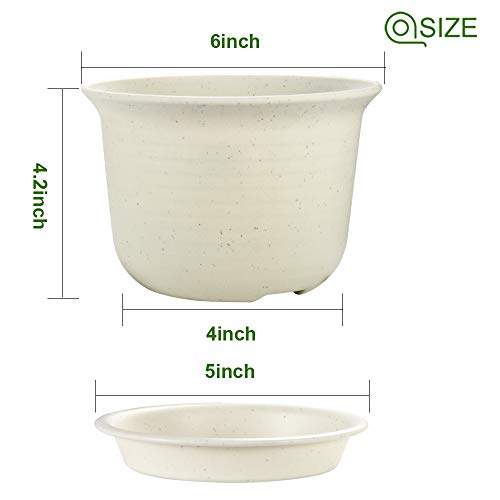 Planters, ZOUTOG 6 inch Plastic Plant Pots Indoor with Drainage Hole and Tray, Pack of 15 - Plants Not Included, Beige