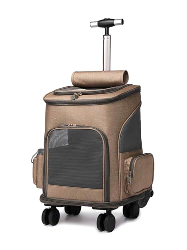 ybgJ[g LX^[t ybgL[ ʋCt Lp Ŏgp\ ܂肽ݎ g[obO ybgobO (J[L)