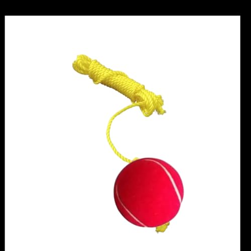 Image of Red Tennis Hanging Cricket Ball 3 Meter Yellow String (1)