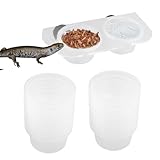 Xijobido Ciotola Per Alimentazione Rettili | Ciotola Magnetica Per Alimentazione Rettili | Dispenser Acqua Per Animali Esotici Ed Accessorio Habitat Per Amanti Animali