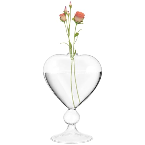Heart Shaped Vase Unique Hydroponic Flower Vase Elegant Transparent Glass Plant Planter Valentines Day Mothers Day Anniversary