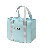dijiusidy Bolsa de Almuerzo aislada para niños, refrigerador de Almuerzo Impermeable Reutilizable para la Escuela y picnics, lonchera para niños, Escuela, poliéster, Azul