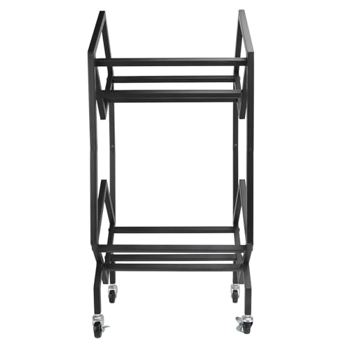 Eujgoov Albums Storage Rack Shelf Versatile Carbon Steel CD Display Rack, Large Capacity Storage for Music Enthusiasts and Collectors (2 Tier)
