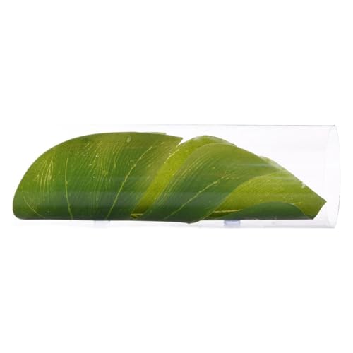 Gissroys Tubo de pesca túnel para tanques de peces, decoraciones de acuario, aspecto hermoso, escondite artificial, cueva, escondite Betta