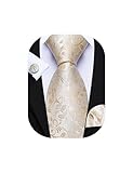 Barry.Wang Champagne Gold Tie for Men Floral Silk Necktie Pocket Square Cufflinks Formal Wedding Prom Party Business
