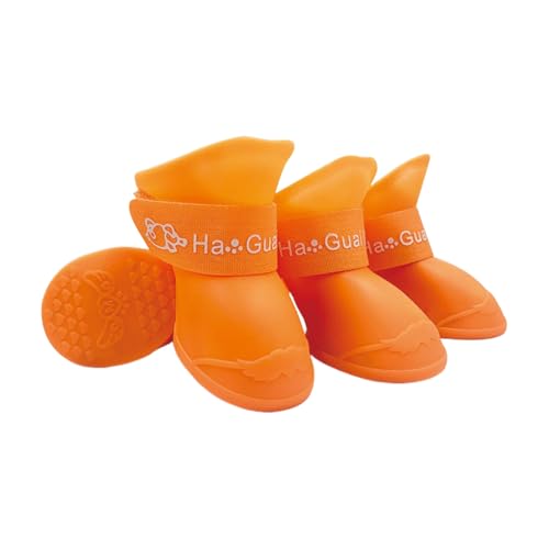 ̌C h h pC S`LTCY  C  Up }WbNe[v ~ߒ VR \